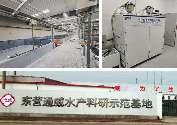 东营通威水产养殖基地